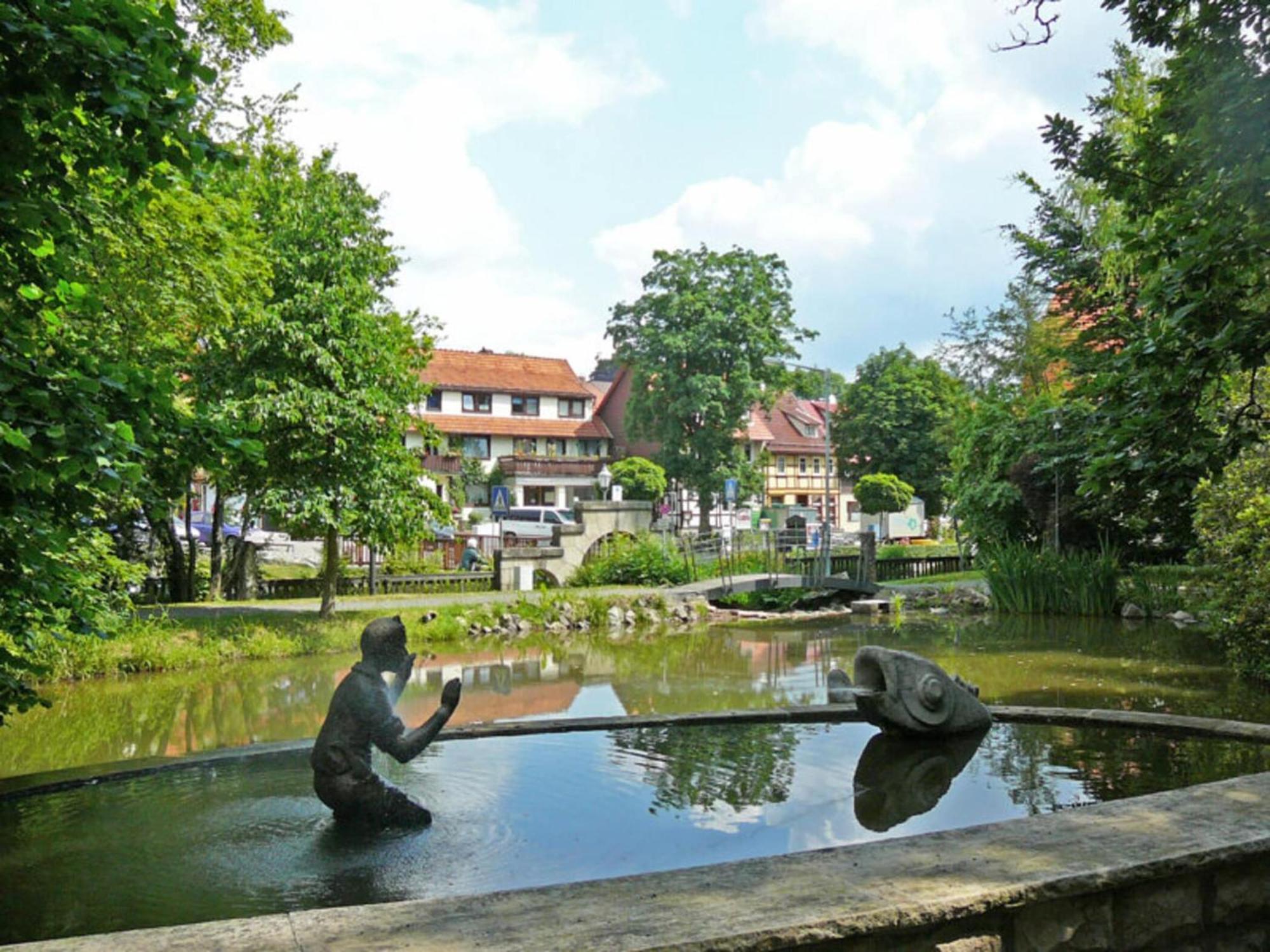 Apartment Jagdschloesschen, Bad Sachsa Zewnętrze zdjęcie